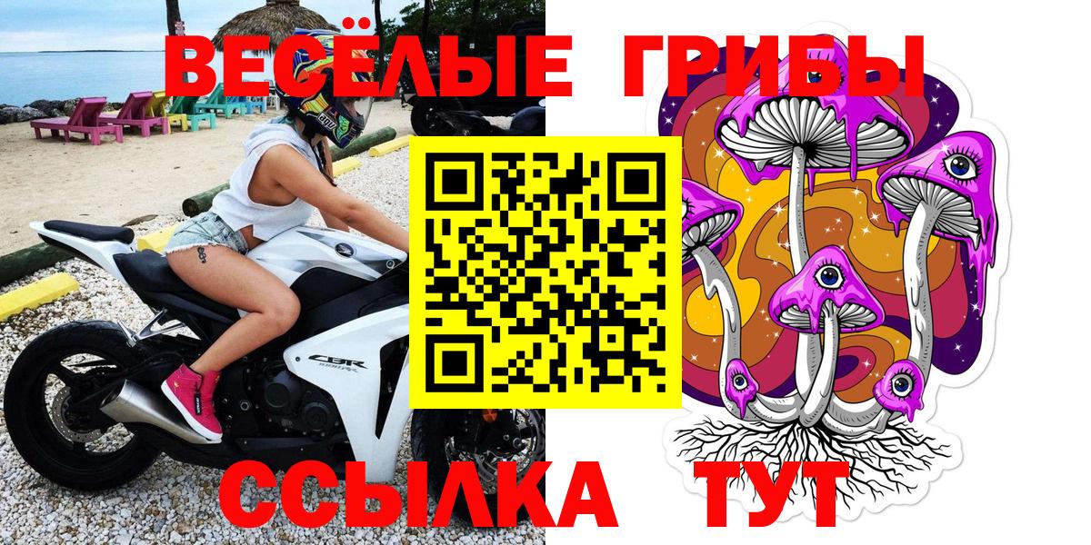 Псилоцибиновые грибы прущие грибы Черняховск