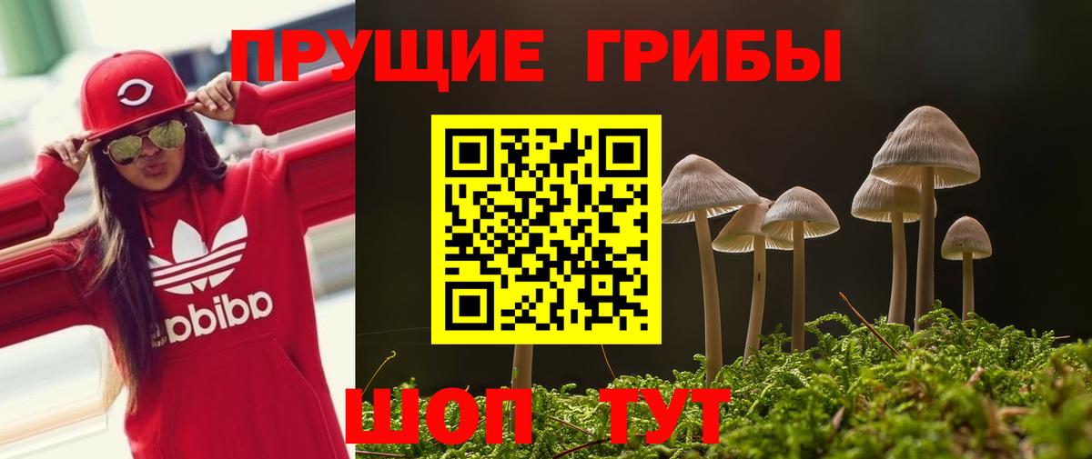 Черняховск  Галлюциногенные грибы прущие грибы  Вход с VPN  Псилоцибиновые грибы GOLDEN TEACHER 